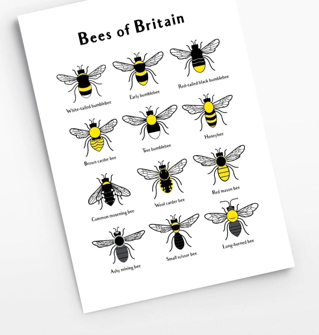 Bees of Britain Print