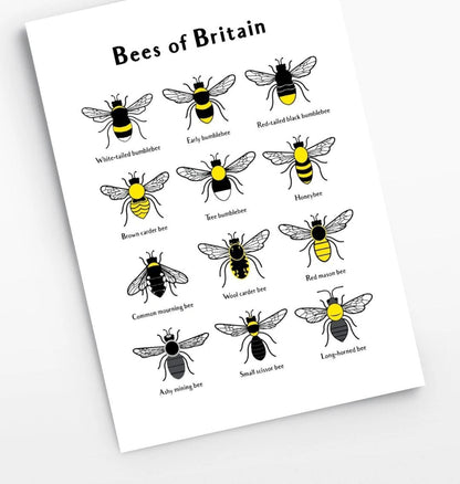 Bees of Britain Print