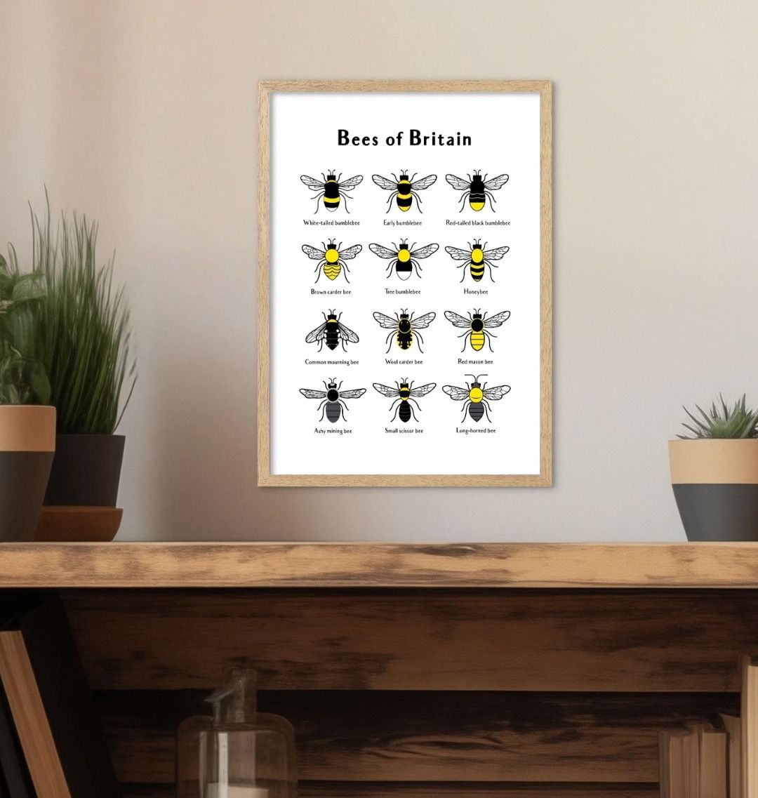 Bees of Britain Print