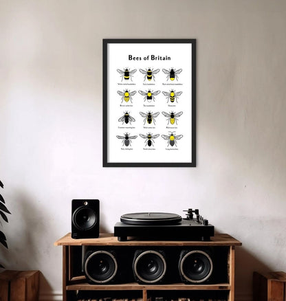 Bees of Britain Print