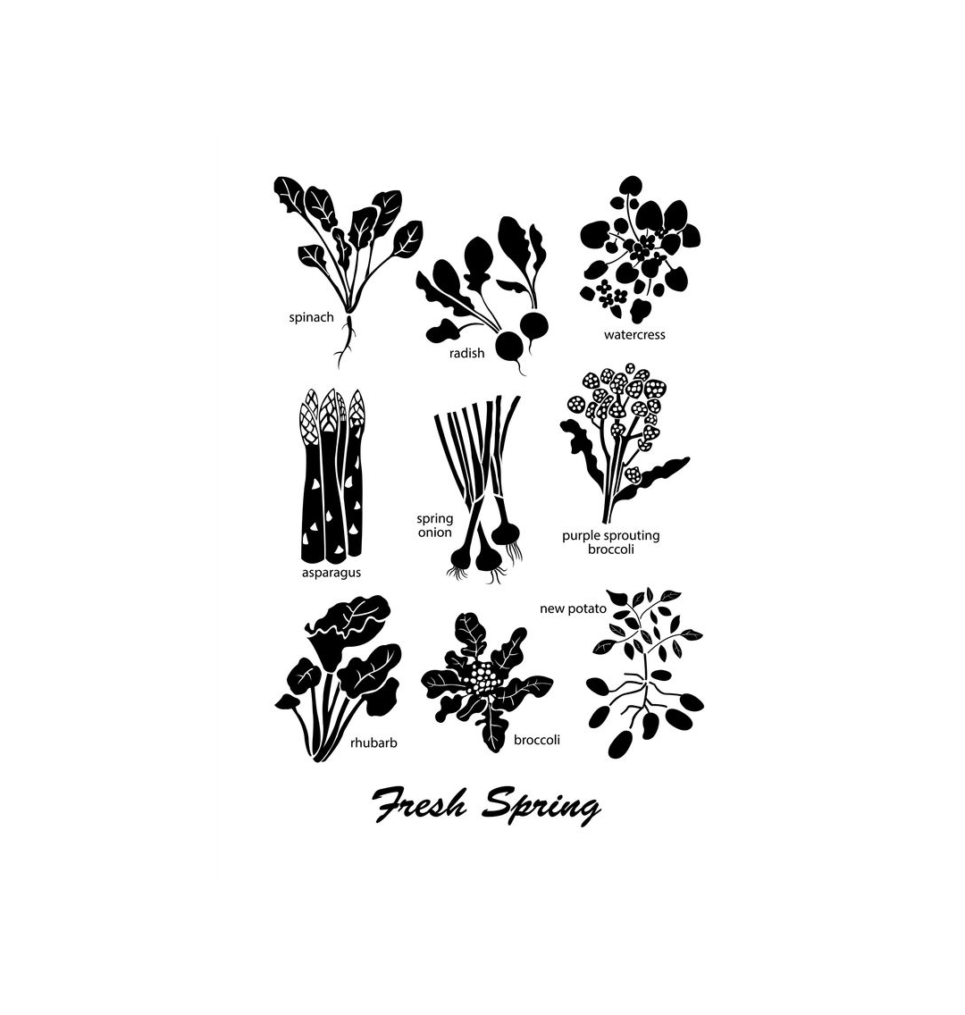 No Frame Fresh Spring Print