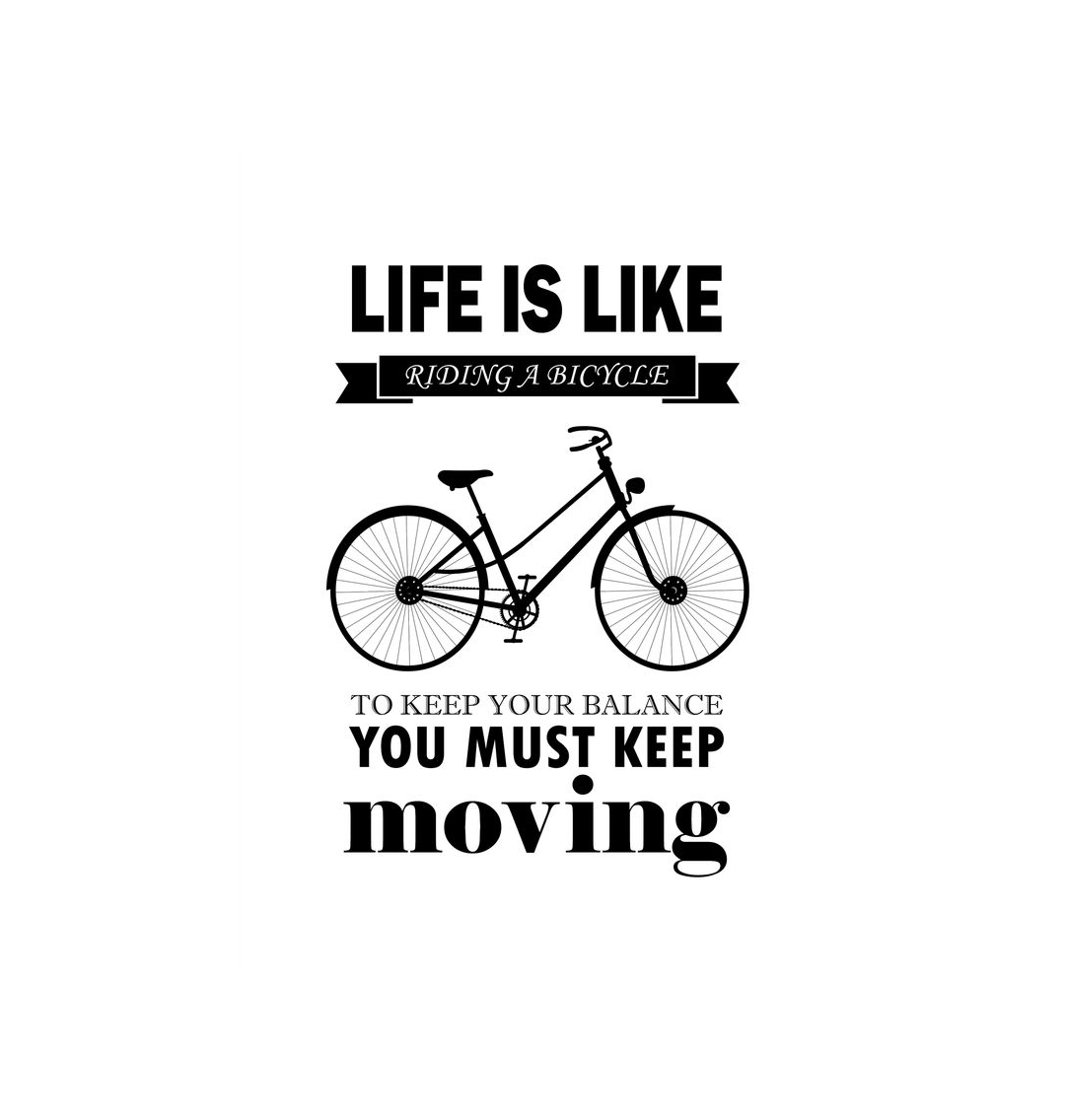 No Frame Life Is Like Riding A Bicycle