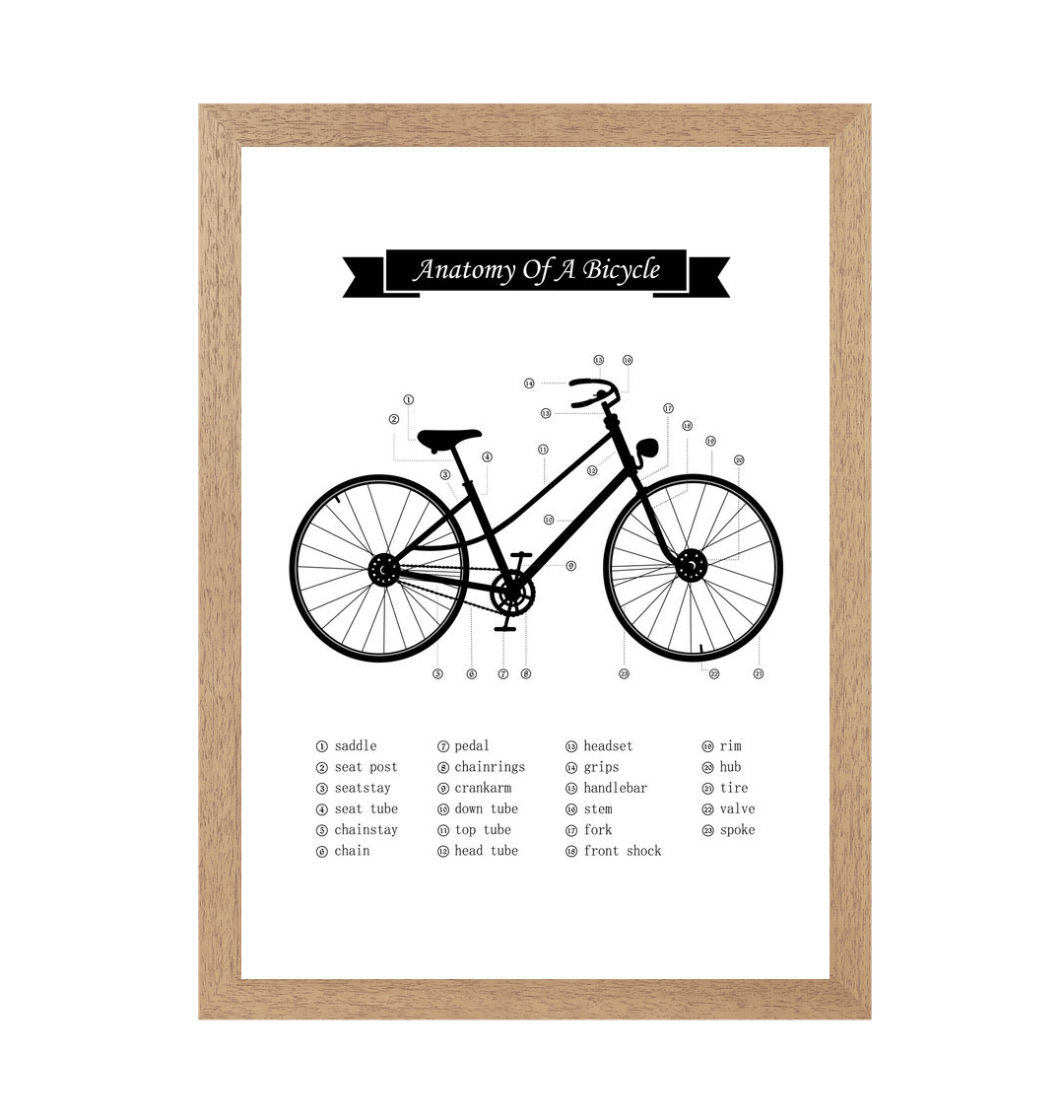 Natural Frame Anatomy of a Bicycle Print