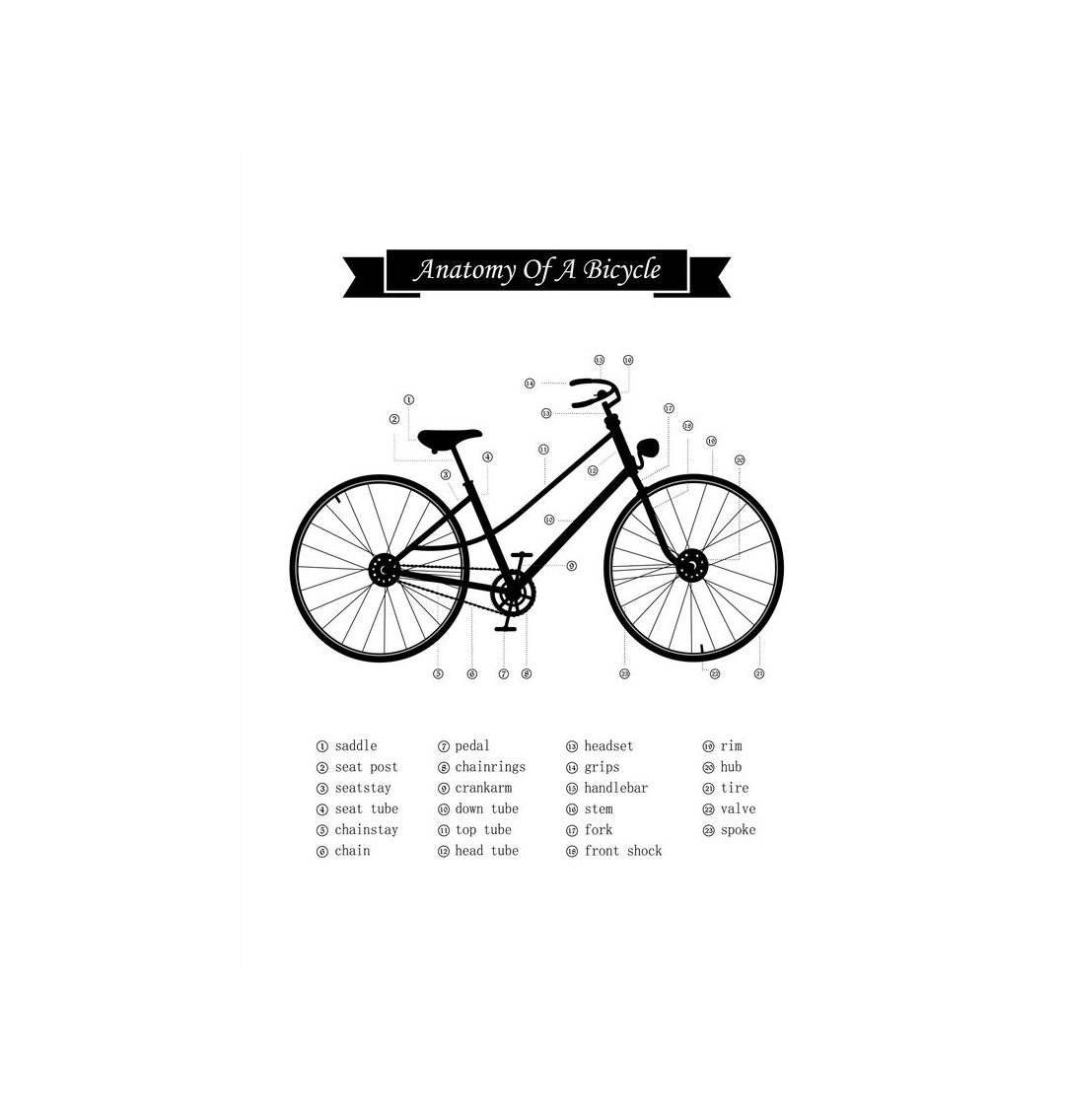 No Frame Anatomy of a Bicycle Print