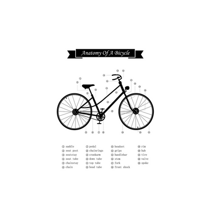 No Frame Anatomy of a Bicycle Print