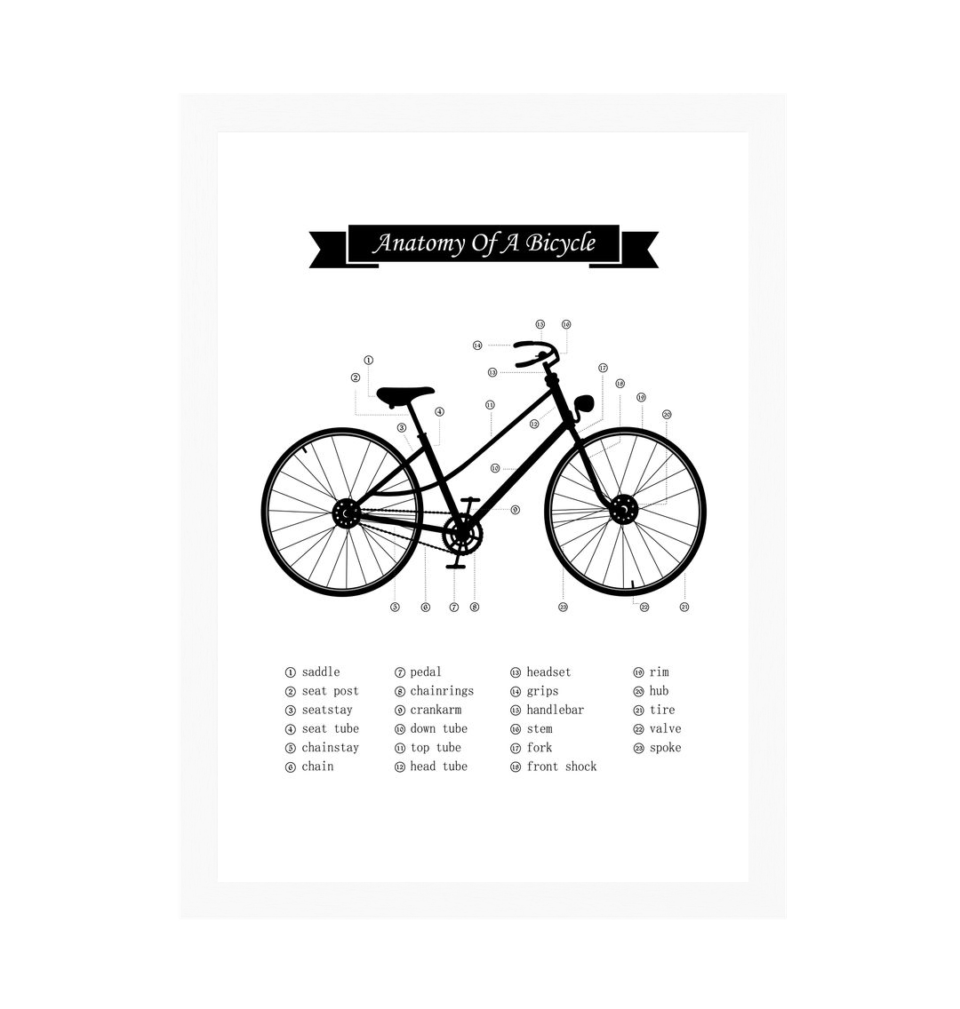 White Frame Anatomy of a Bicycle Print