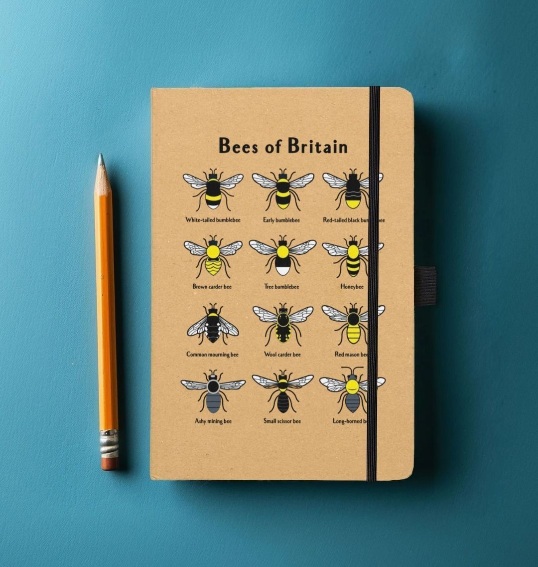 Bees of Britain Notebook